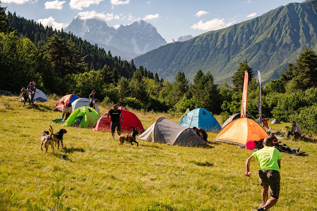 Camp with tents. People playing with dogs. Highlander Adventure, Biliki App